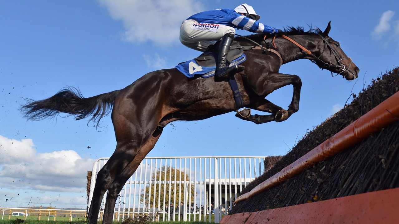 Frodon