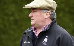 paul nicholls