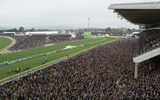 cheltenham racecourse