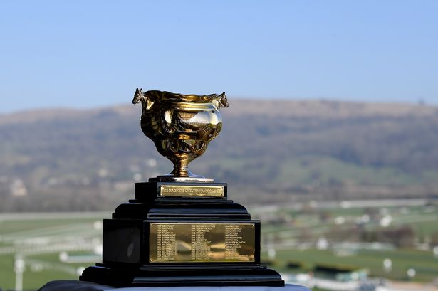 cheltenham gold cup