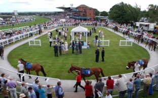 beverley racecourse