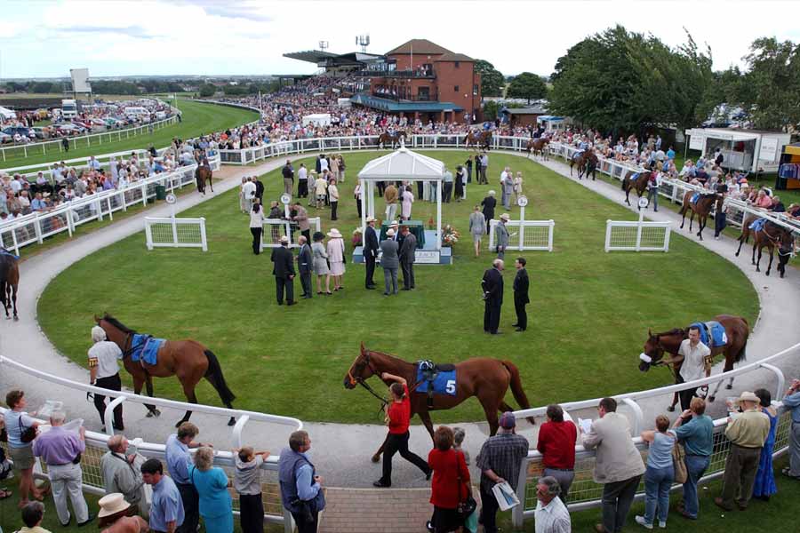 beverley racecourse