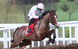 faugheen