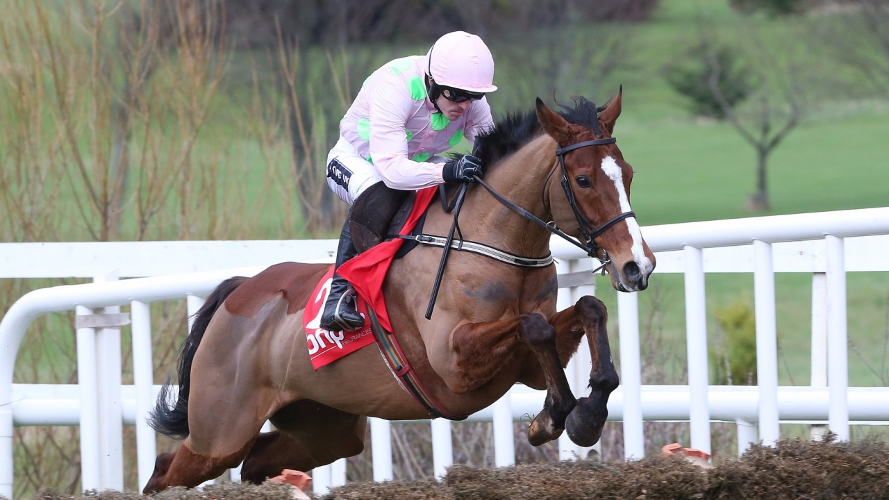 faugheen