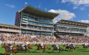 york racecourse